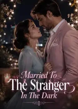 Married To The Stranger In The Dark book cover