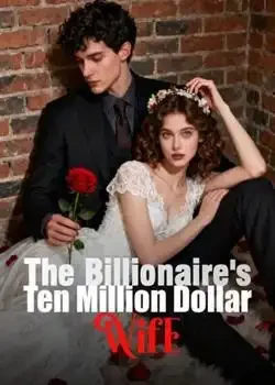 The Billionaire's Ten Million Dollar Wife book cover