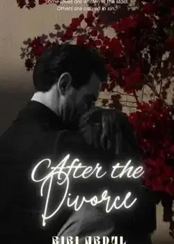 After Divorce book cover