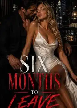 The Billionaire's Contract Wife: Six Months To Leave book cover