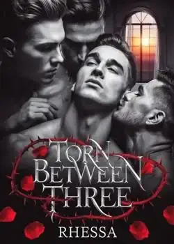 Torn Between Three book cover