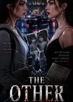 THE OTHER DAUGHTER book cover