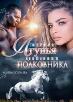 Обложка «Маленькая лгунья для большого полковника»