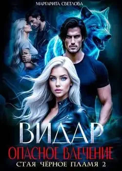 Обложка «Видар. Опасное влечение»