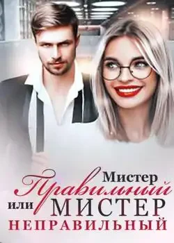 Обложка «Мистер Правильный или Мистер Неправильный»