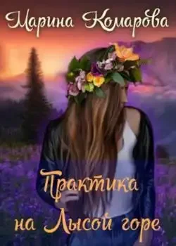Обложка «Практика на Лысой горе»