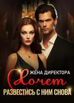 Обложка «Жена директора хочет развестись с ним снова!»