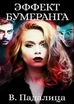 Обложка «Эффект бумеранга»