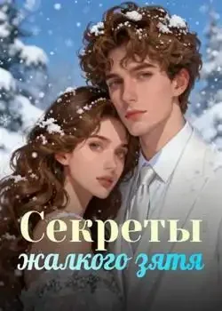 Обложка «Секреты жалкого зятя»