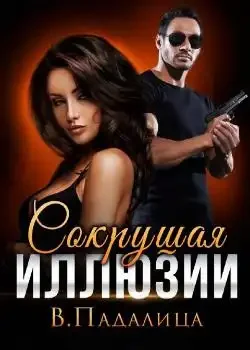 Обложка «Сокрушая иллюзии»