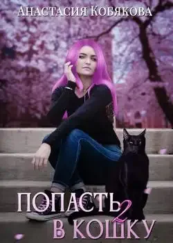 Обложка «Попасть в кошку 2»