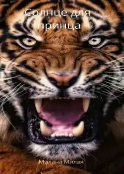 Обложка «Солнце для принца»